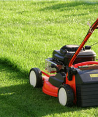 ibac Gartenprofi